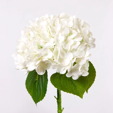 Гортензия садовая на стебле, белый от REAL TOUCH, RT.PL.DC.147