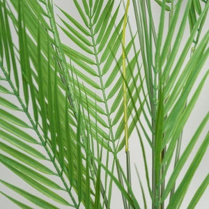 Куст Пальмы Арека 125см (11 веточек, зеленый)