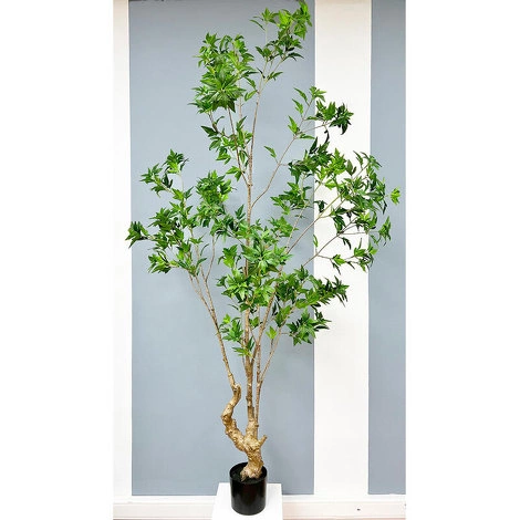 Растение Японский клен 210 см в кашпо - Зеленый от REAL TOUCH, RT.PL.DC.171